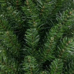 Northlight Buffalo Fir Rectangular Artificial Christmas Wreath - 36" - Unlit 8 Northlight Buffalo Fir Rectangular Artificial Christmas Wreath - 36" - Unlit -Festival northlight z99749 3 90168.1671181378